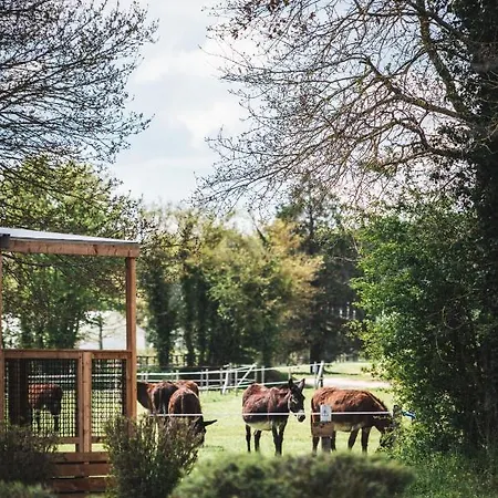 Le Village De Cottages - Le Pole Du Cheval Et De L'Ane Lignières Exterior foto